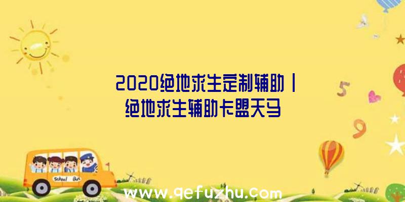 「2020绝地求生定制辅助」|绝地求生辅助卡盟天马